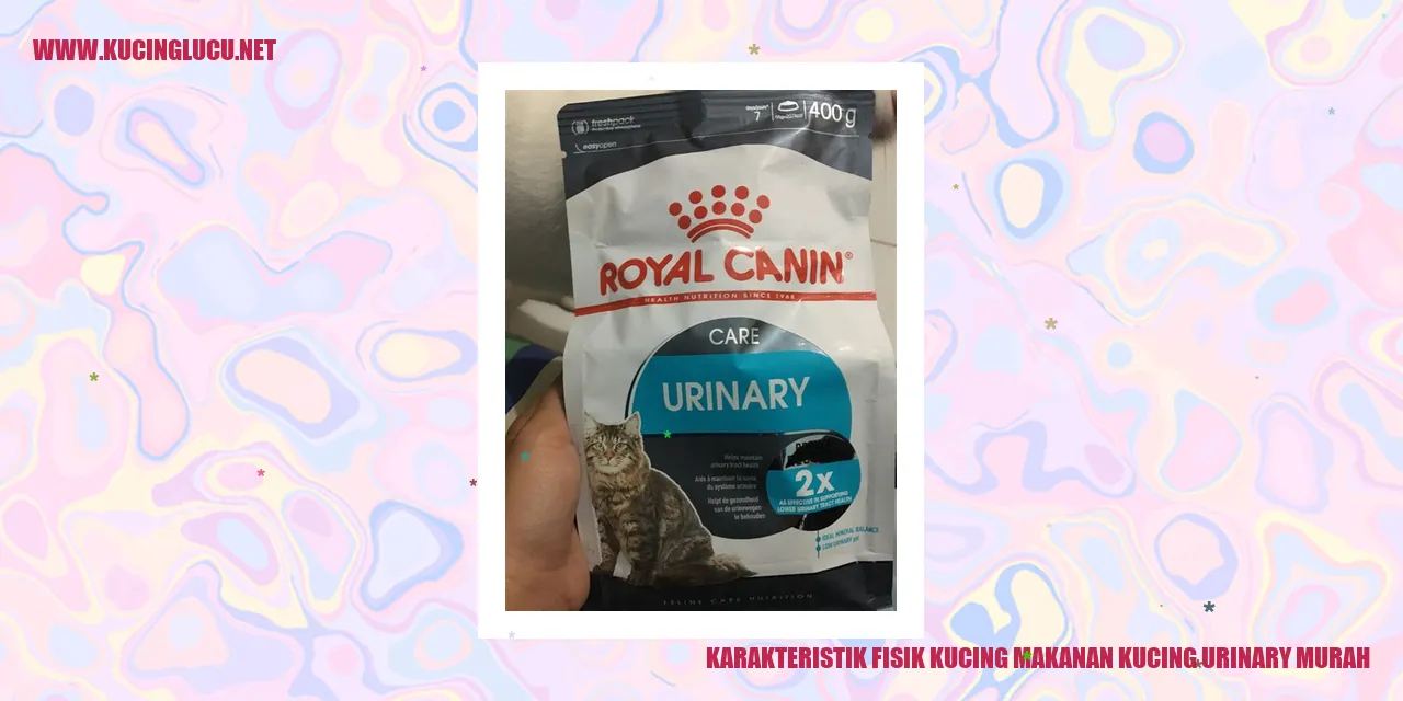Karakteristik Fisik Kucing