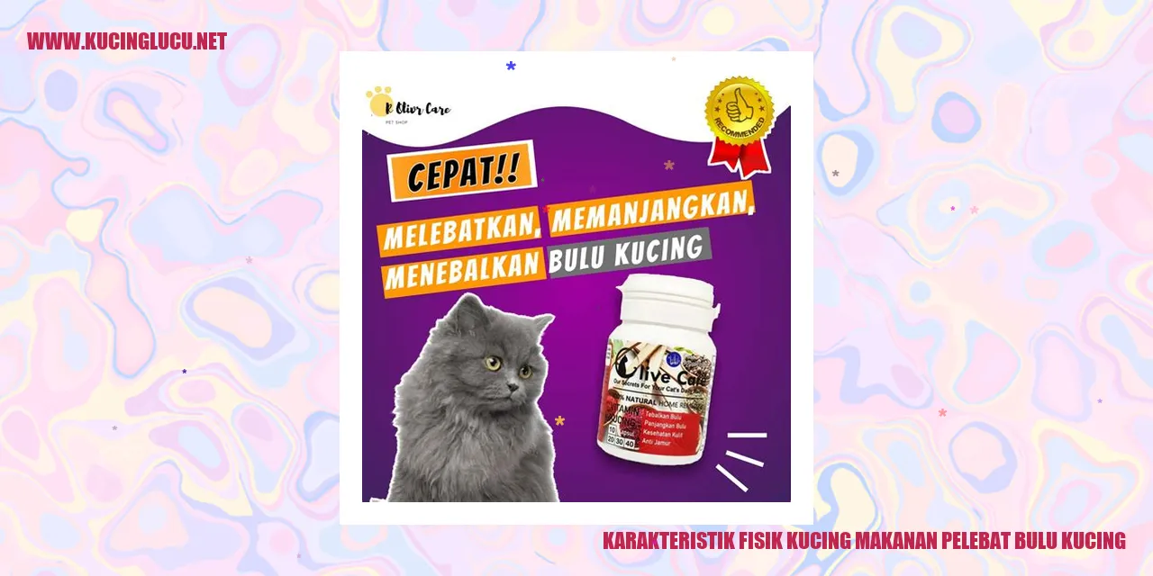 Karakteristik Fisik Kucing dan Kepentingan Makanan Pelebat Bulu Kucing