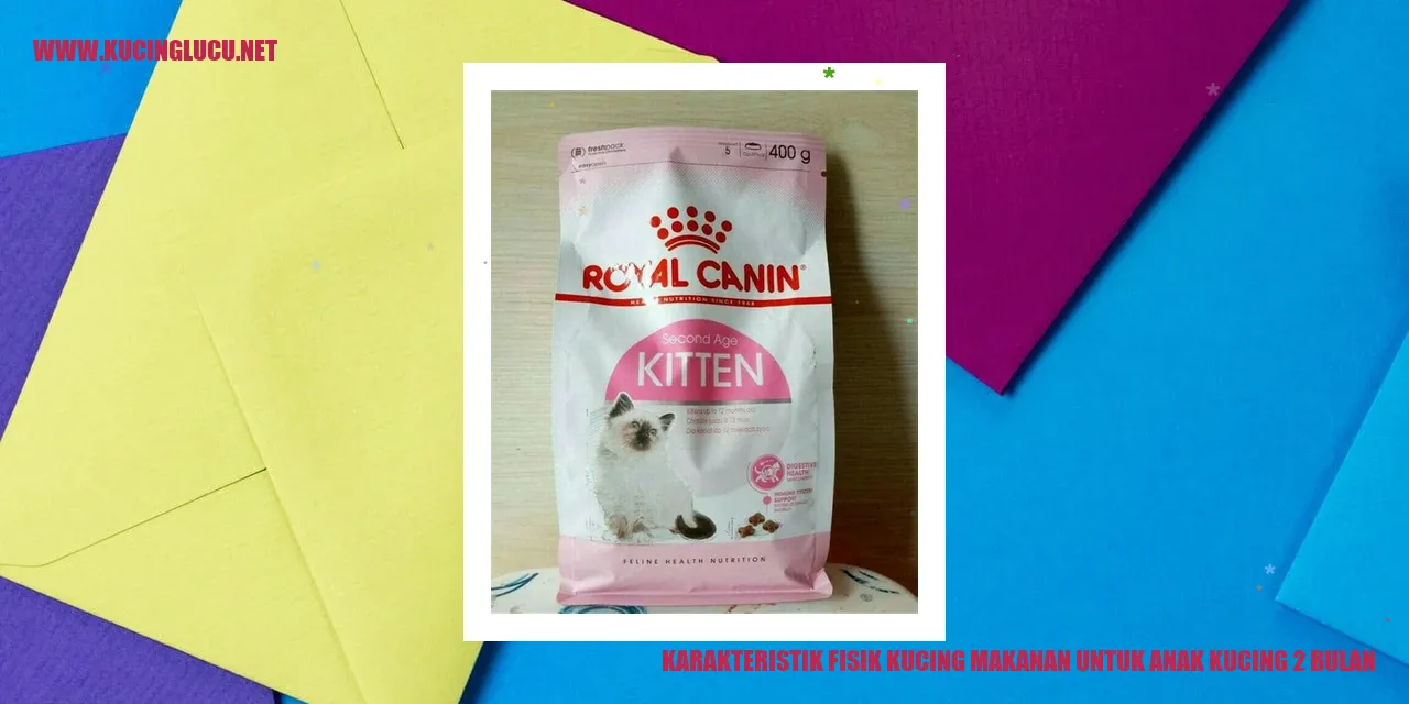 Karakteristik Fisik Kucing dan Makanan untuk Anak Kucing 2 Bulan