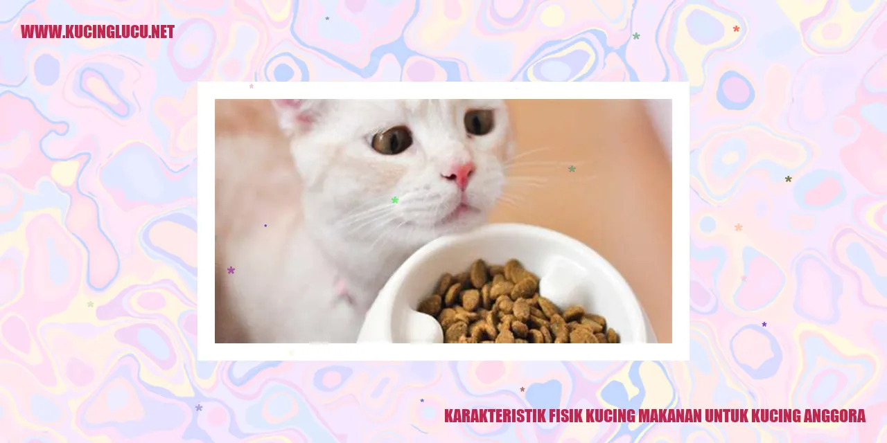 Kucing Anggora