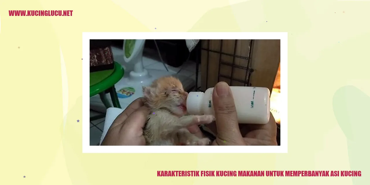 Karakteristik Fisik Kucing