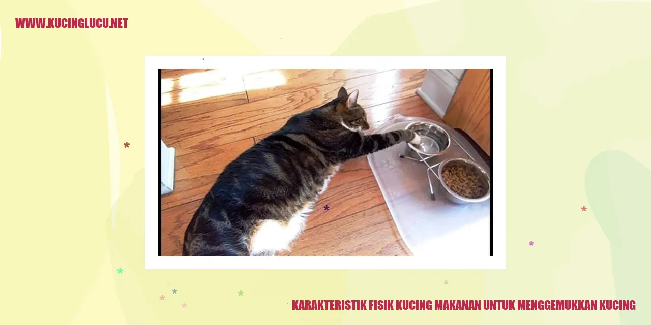 Karakteristik Fisik Kucing makanan untuk menggemukkan kucing