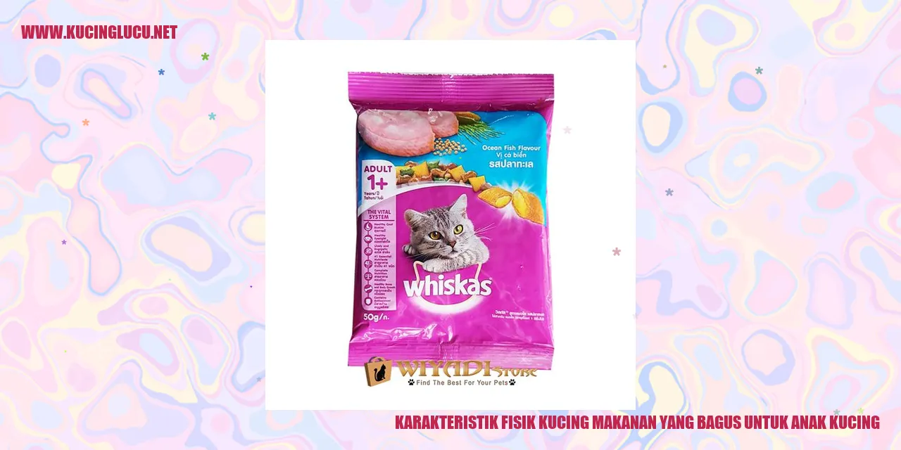 Karakteristik Fisik Kucing dan Makanan yang Bagus untuk Anak Kucing