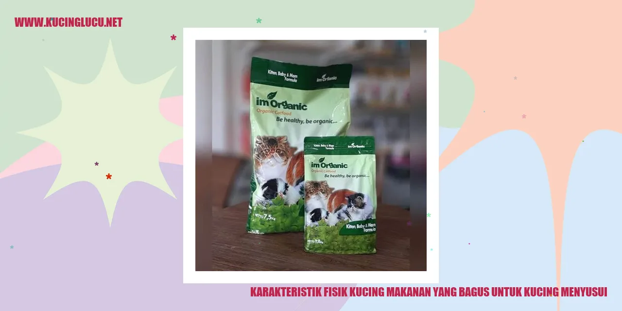 Karakteristik Tubuh Kucing dan Makanan yang Berkualitas untuk Kucing yang Sedang Menyusui