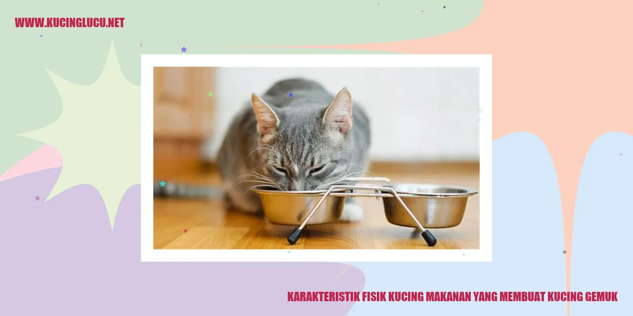 Kucing Makanan