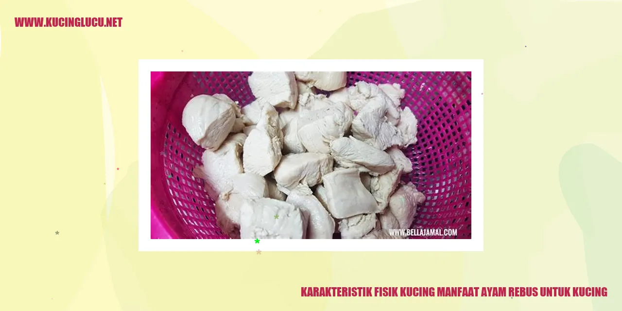 Karakteristik Fisik Kucing manfaat ayam rebus untuk kucing