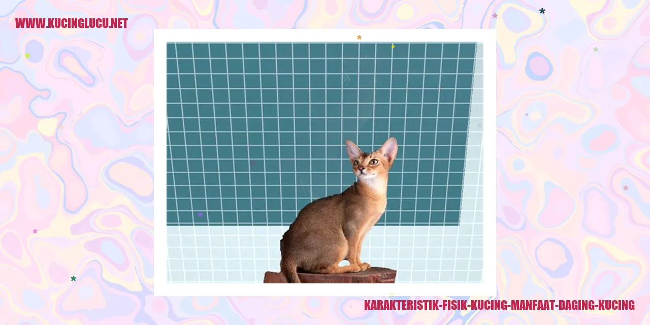 Karakteristik Fisik Kucing manfaat daging kucing