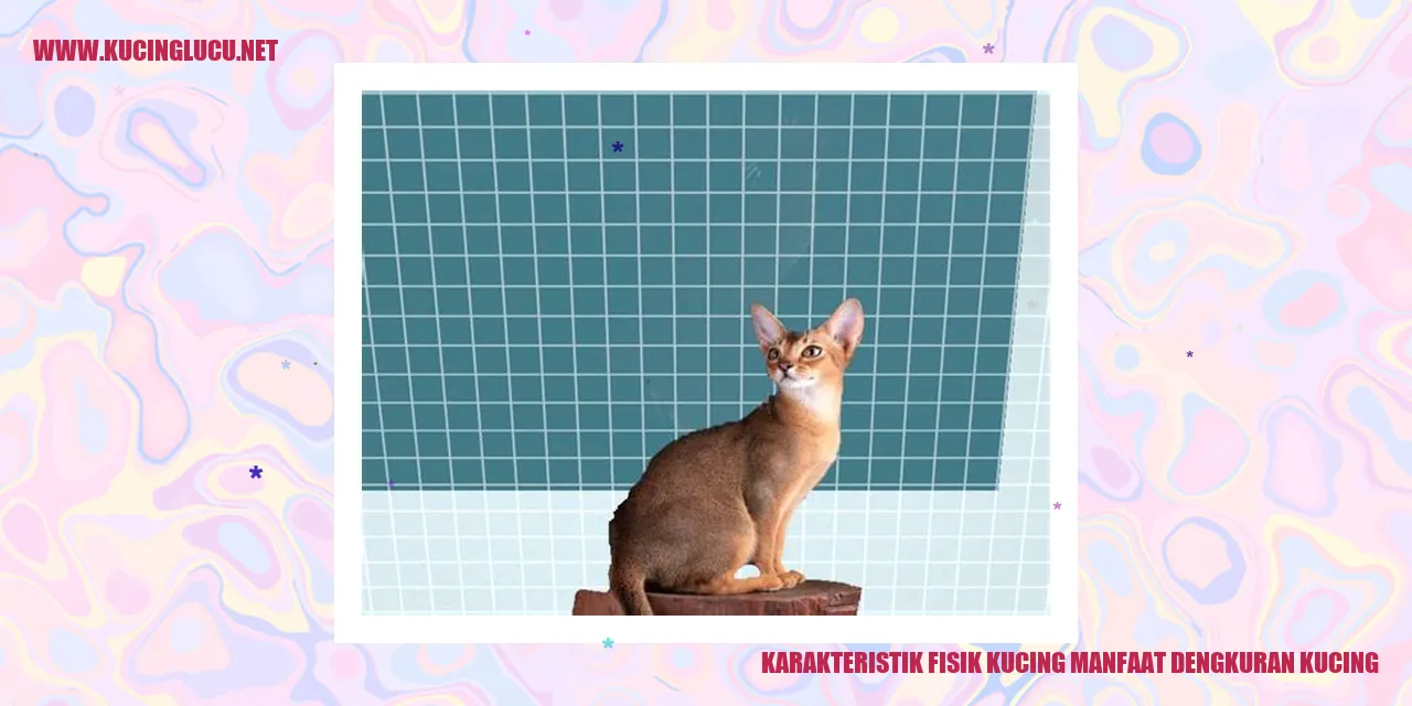 Karakteristik Fisik Kucing