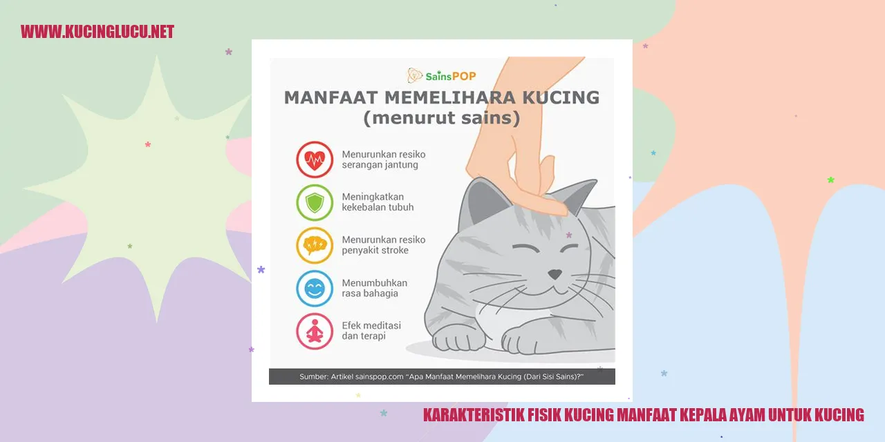 Gambar Kucing dan Kepala Ayam