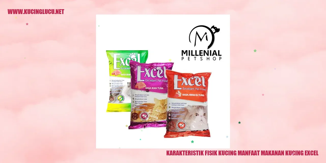 Karakteristik Fisik Kucing
