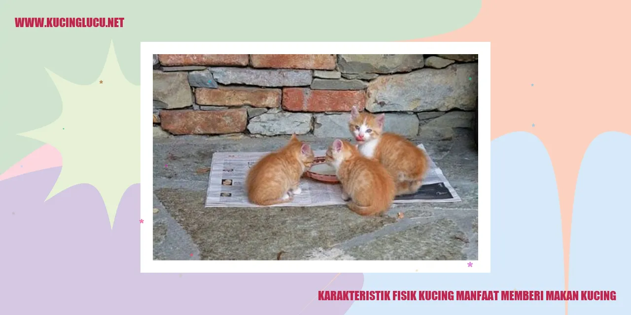 Karakteristik Fisik Kucing