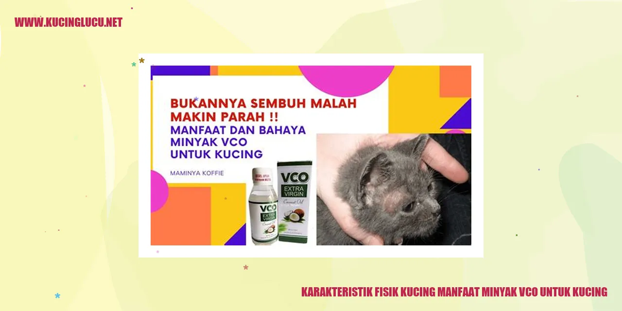 Karakteristik Fisik Kucing