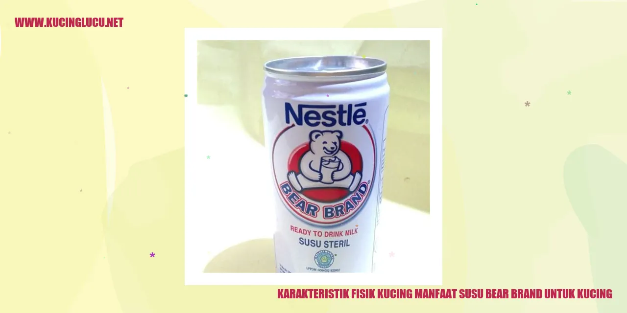 Gambar Kucing