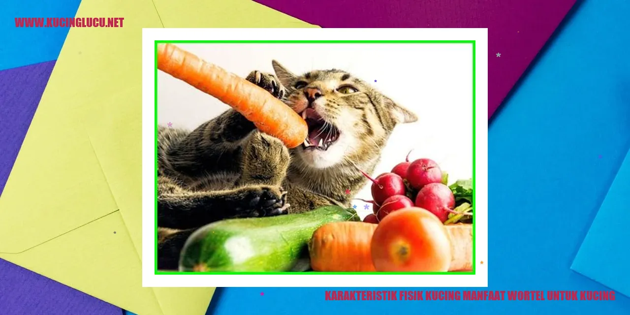 Karakter Fisik Kucing dan Manfaat Wortel untuk Kucing