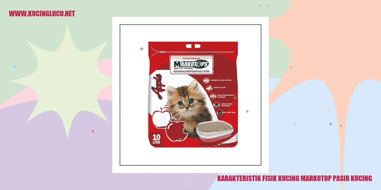 Gambar Kucing Markotop Pasir Kucing