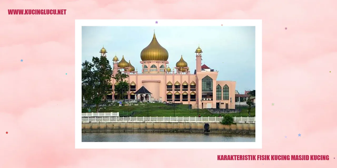 Karakteristik Fisik Kucing Masjid Kucing