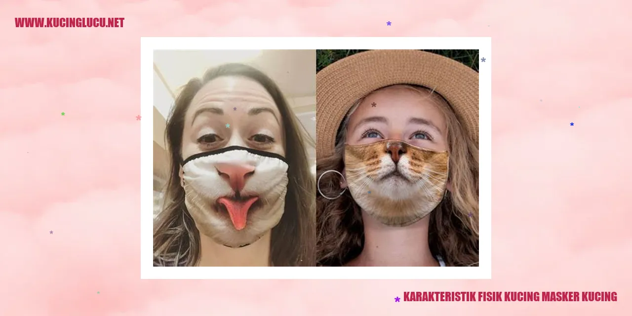 Karakteristik Fisik Kucing Masker Kucing