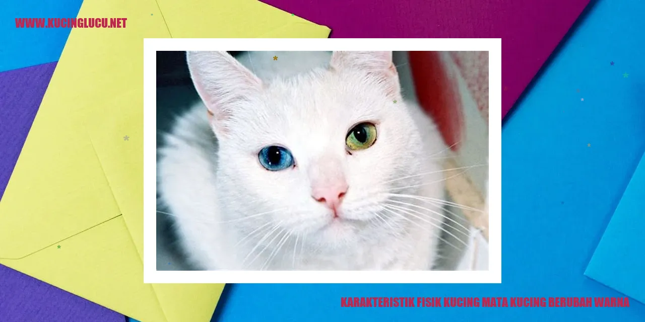 Karakteristik Fisik Kucing Mata Kucing Berubah Warna