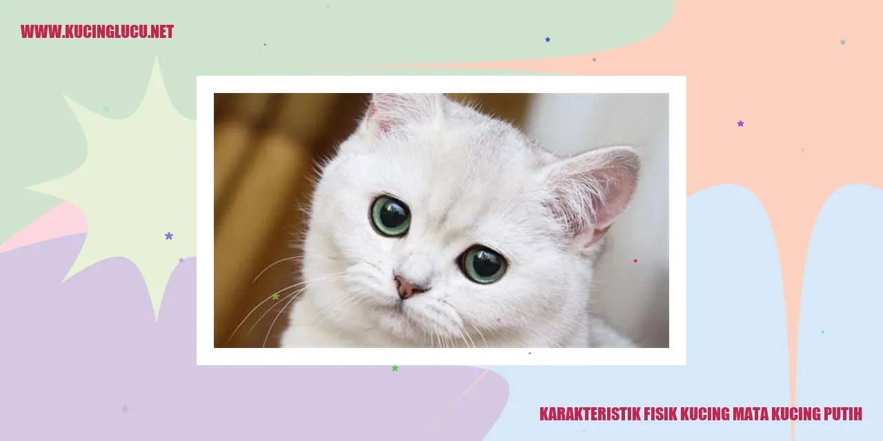 Gambar Kucing Mata Kucing Putih