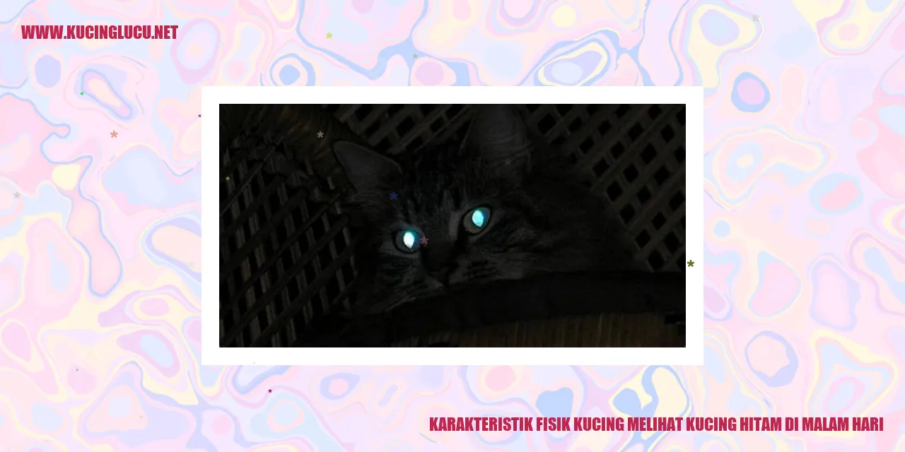 gambar kucing hitam