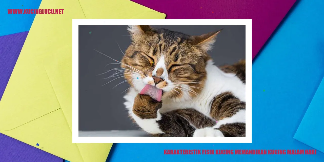 Karakteristik Fisik Kucing memandikan kucing malam hari
