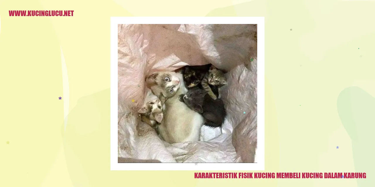 Gambar Kucing dalam Karung