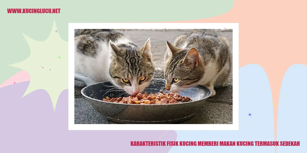 Karakteristik Fisik Kucing