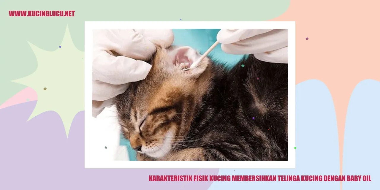 Gambar Kucing yang Menyukai Baby Oil