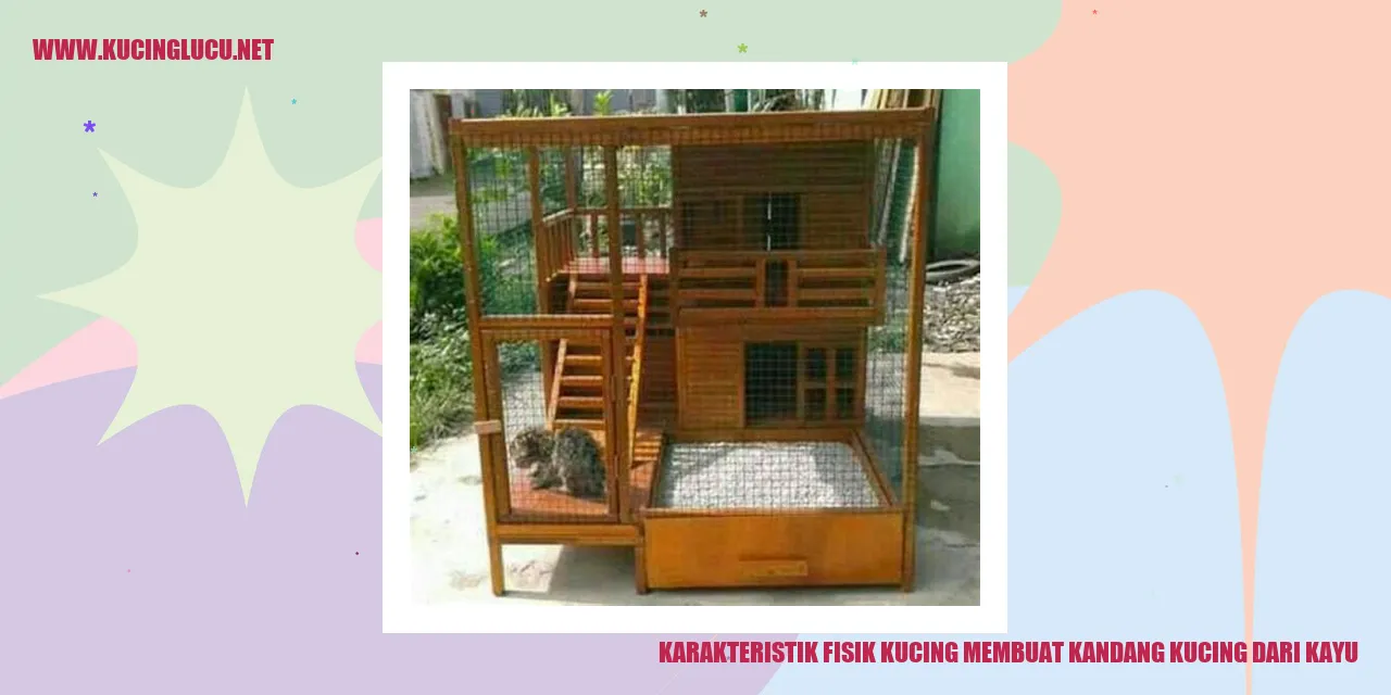 Karakteristik Fisik Kucing Membuat Kandang Kucing dari Kayu