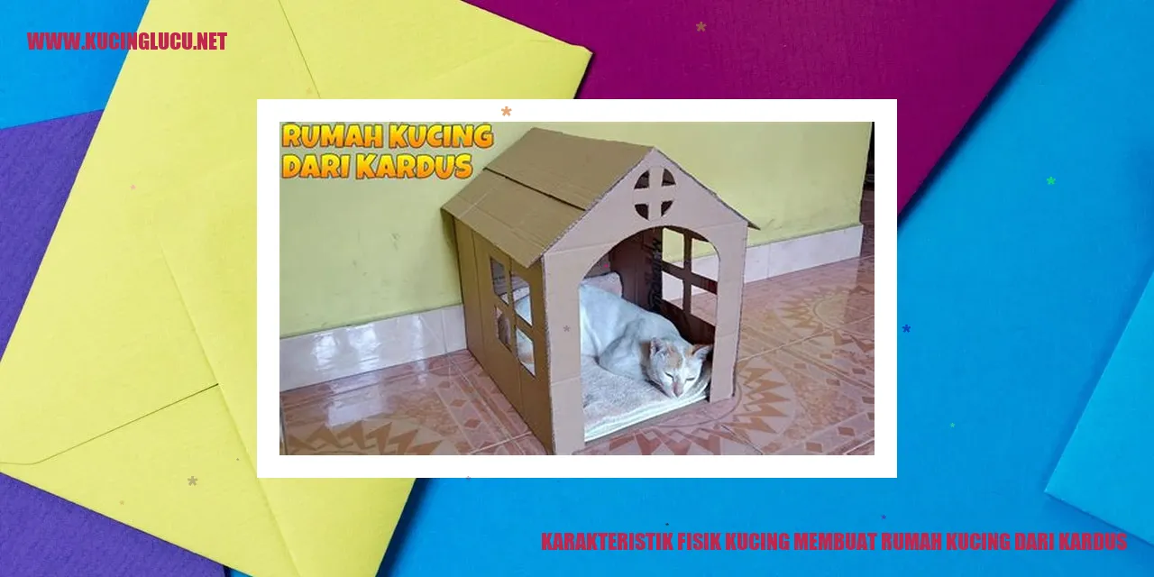Gambar karakteristik fisik kucing membuat rumah kucing dari kardus