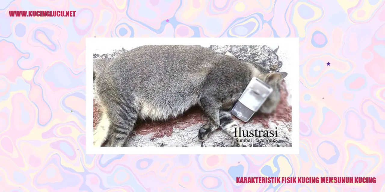 Karakteristik Fisik Kucing membunuh kucing