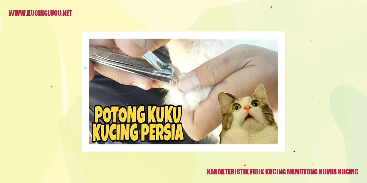Karakteristik Fisik Kucing memotong kumis kucing