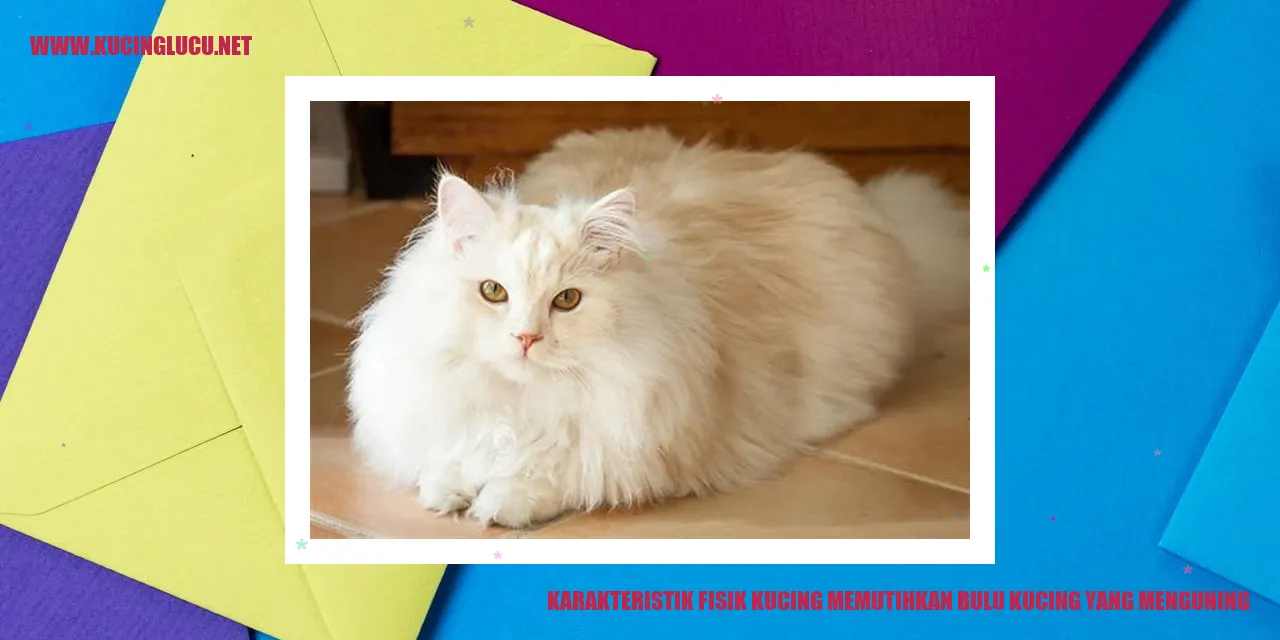 Gambar Kucing
