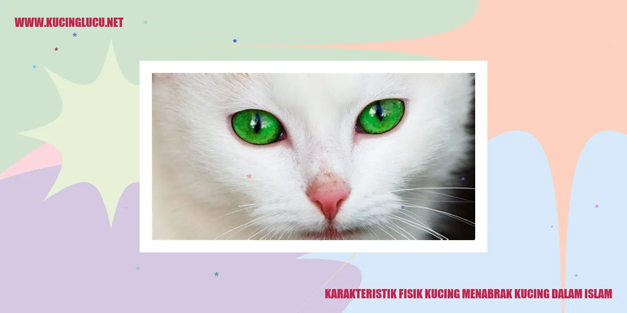 Karakteristik Fisik Kucing Menurut Islam