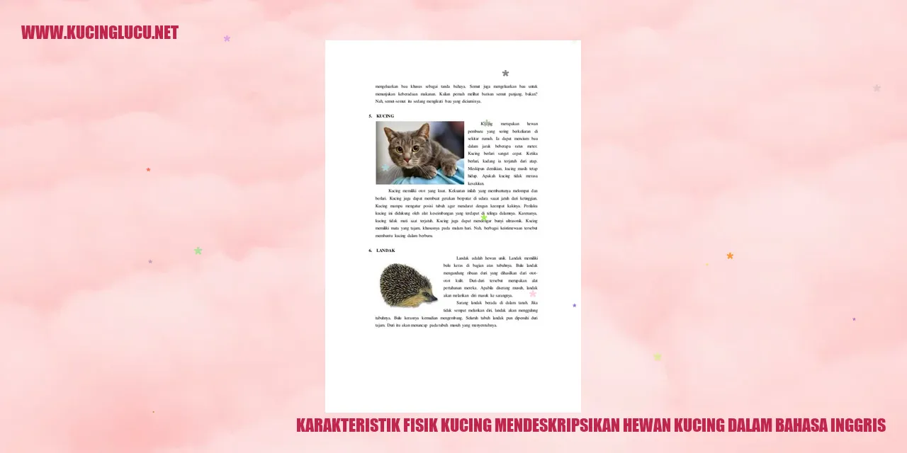 Karakteristik Fisik Kucing