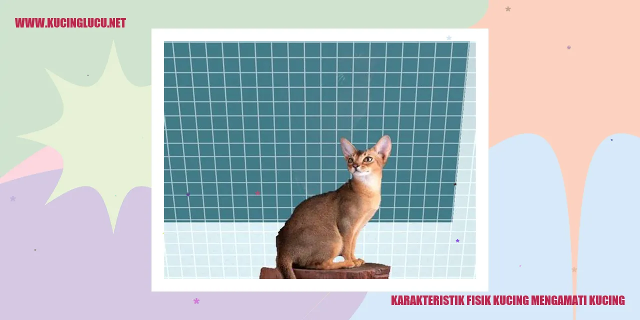 Karakteristik Fisik Kucing