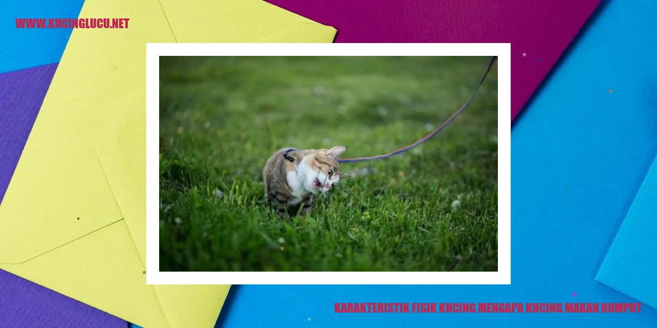 Karakteristik Fisik Kucing mengapa kucing makan rumput
