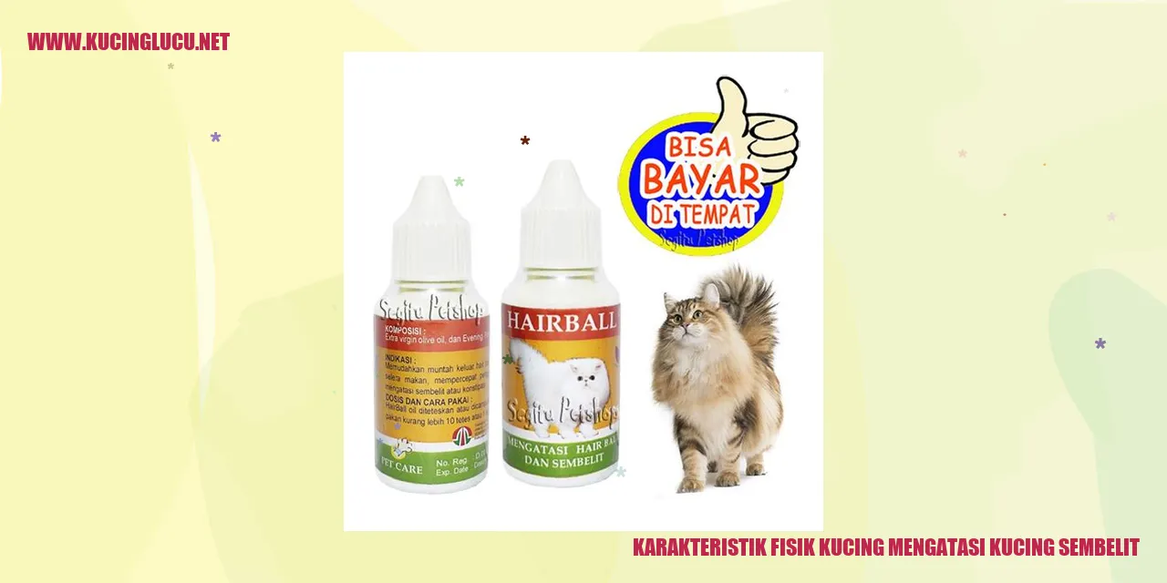 Karakteristik Fisik Kucing mengatasi kucing sembelit