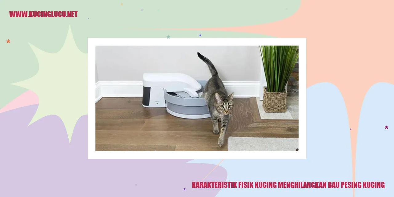 Foto Kucing