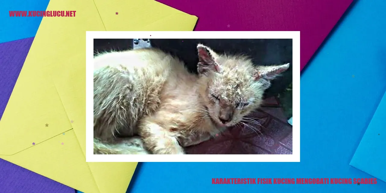 Kucing Scabies