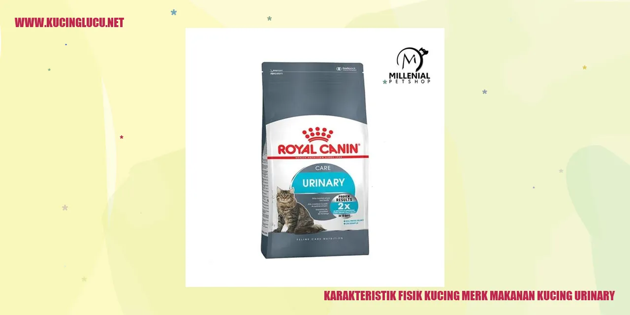 Karakteristik Fisik Kucing