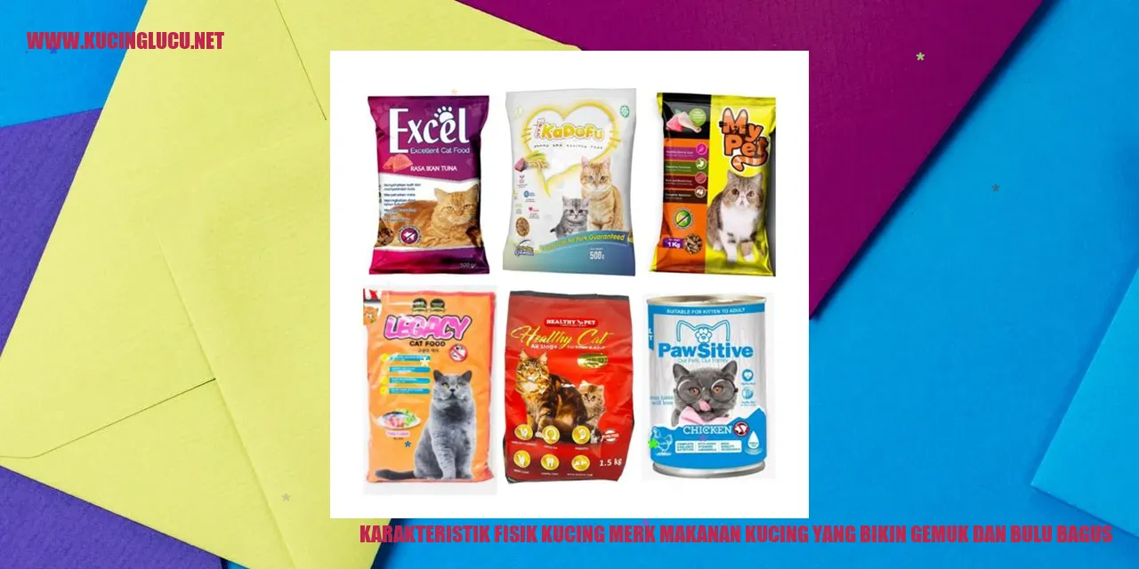 Karakteristik Fisik Kucing dengan Makanan yang Membuat Gemuk dan Bulu Bagus
