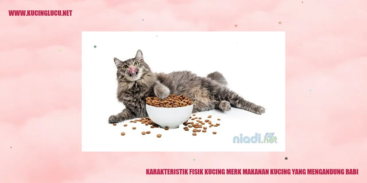 karakteristik fisik kucing yang mengandung babi