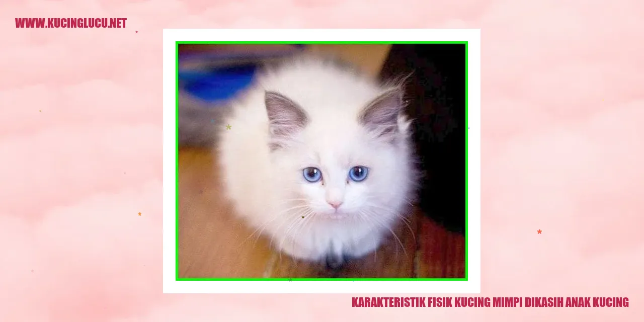 Gambar menggemaskan kucing dan anak kucing