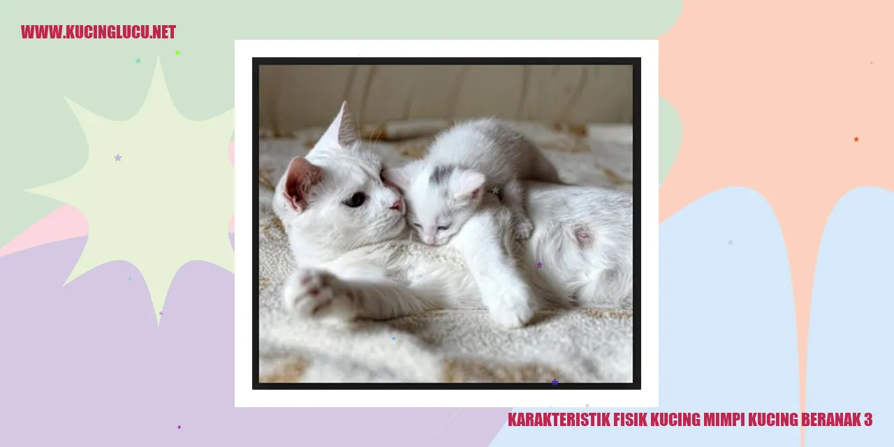 Kucing Bermimpi Melahirkan 3 Anak Kucing