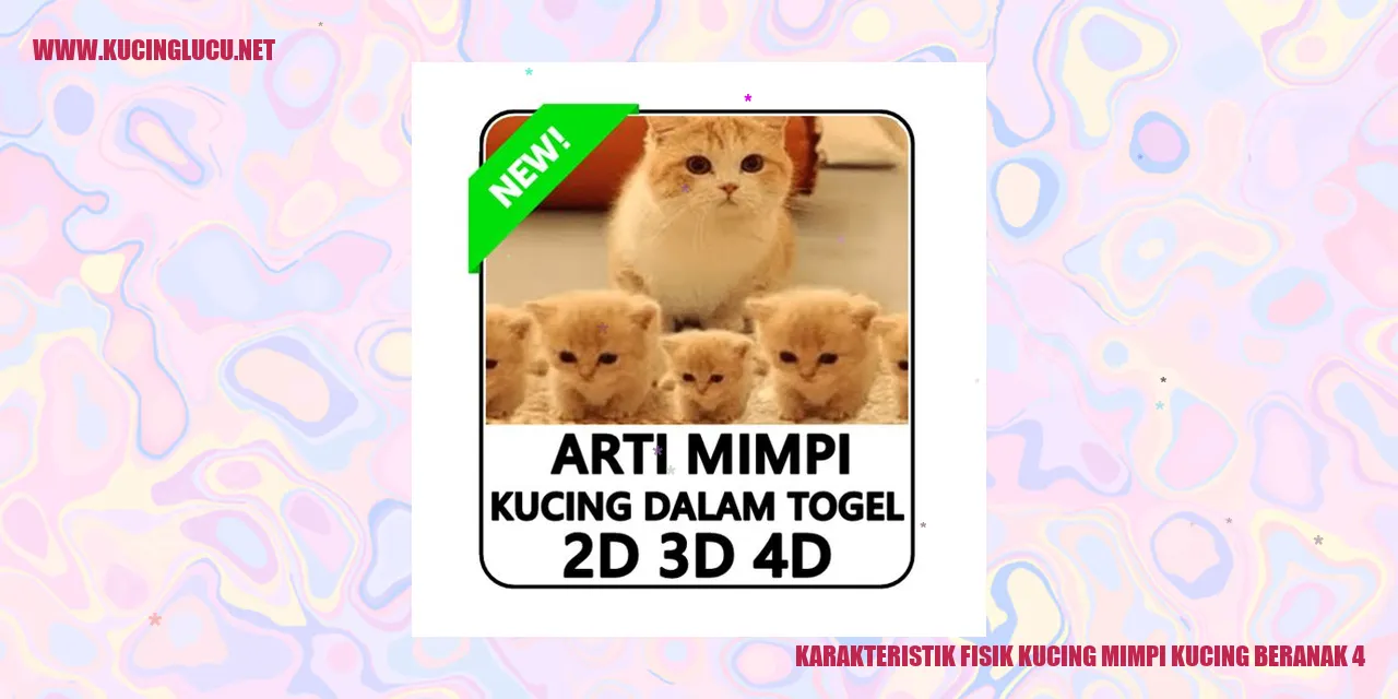 gambar kucing baru melahirkan