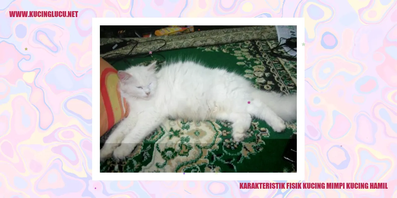 Karakteristik Fisik Kucing
