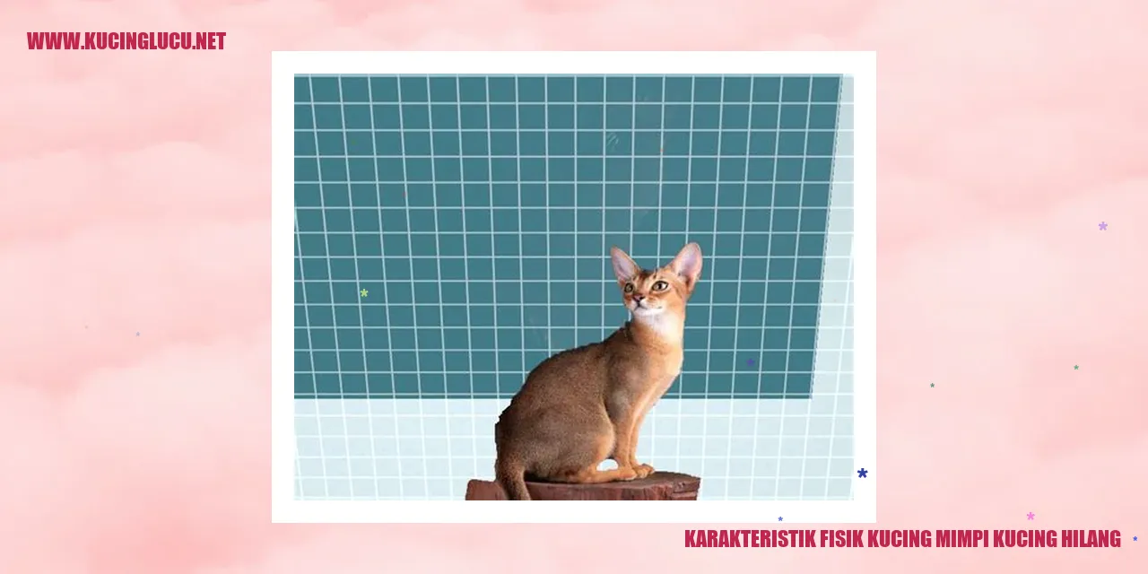 Karakteristik Fisik Kucing