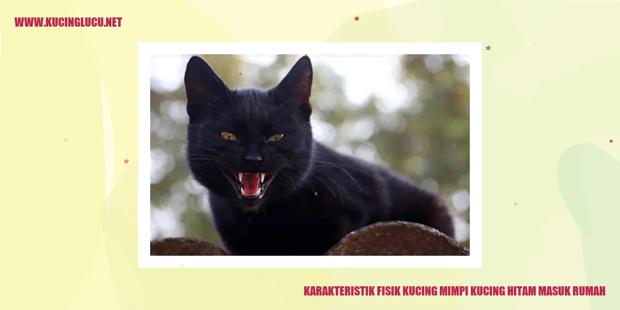 Karakteristik Fisik Kucing