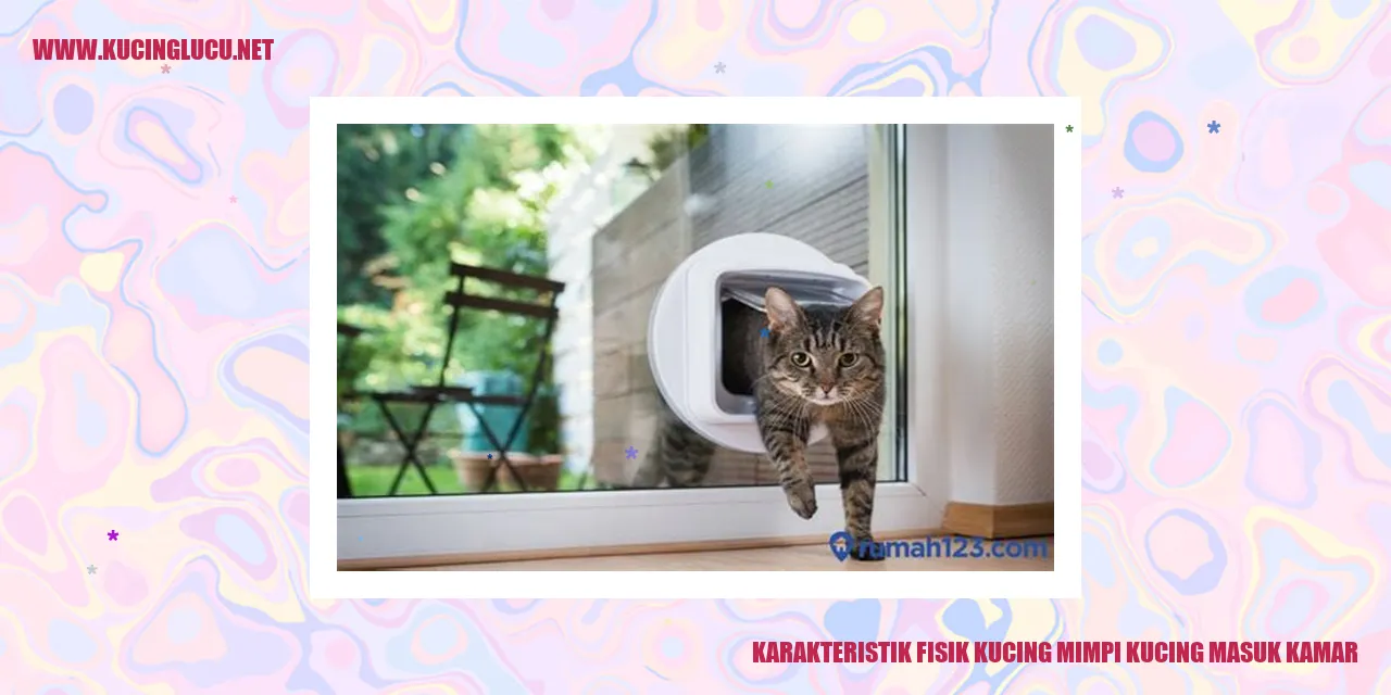 Karakteristik Fisik Kucing